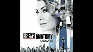 GREY'S ANATOMY SE14 EP15 SMALLER THAN MY MOTHER by OVERCOATS