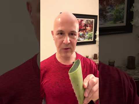 Aloe Vera Can Make Your Colon 😊 Happy!  Dr. Mandell