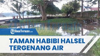 Taman Habibi di Halmahera Selatan Kembali Tergenang Air seusai Dua Hari Diguyur Hujan Lebat