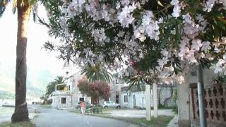 Tivat Montenegro beach promenade at Hotel Kamelija