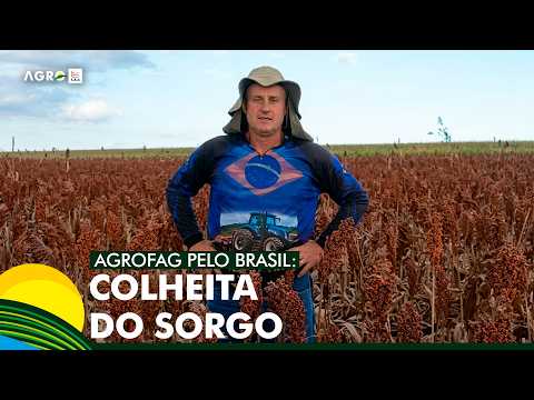 AgroFAG pelo Brasil: colheita do sorgo em Serranópolis do Iguaçu (PR)