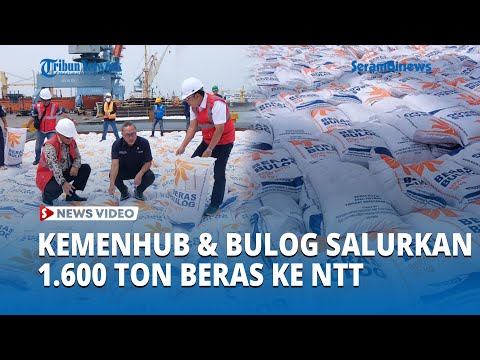 Kemenhub dan Bulog Salurkan 1 600 Ton Beras Gunakan Dua Kapal untuk Atasi Krisis Beras di NTT