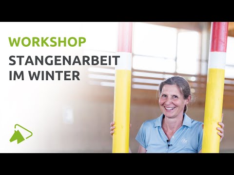 Live Workshop Stangenarbeit mit Claudia Butry: 4 Übungen für Zuhause