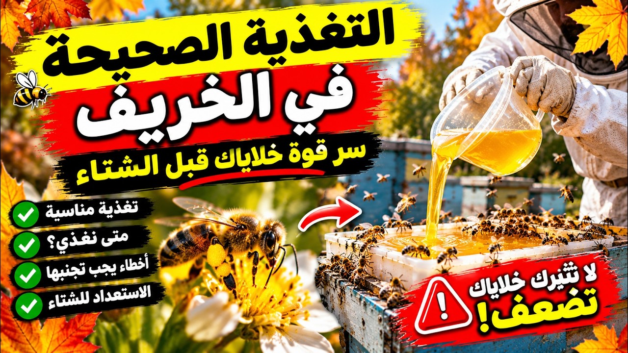 🔥 النحل في الخريف: هذا الخطأ قد يُضعف خلاياك قبل الشتاء! ⚠️🐝