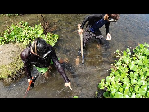 SE03EP021 Part 2 - SINUOT na ang ILALIM ng Water Lily | UBUSAN ng PASENSYA | San Pablo City, Laguna