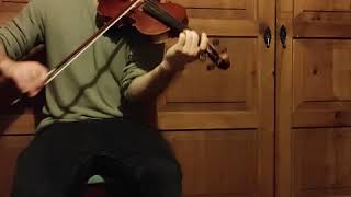 Extremoduro - La vereda de la puerta de atrás (Violin Cover)