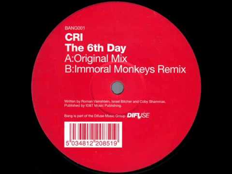 C.R.I. - The 6th Day (Immoral Monkeys Remix) [B side]