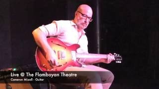 Cameron Mizell - Solo Guitar Live at the Flamboyan Theatre (5/26/16)