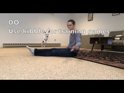 Solutions for Picky Eaters: Four Must-Know Rules