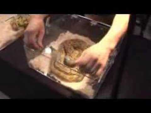 YouTube Video h3eO4gn_bGo