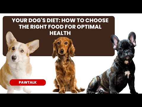 The Ultimate Guide to Choosing the Right Dog Food for Your Pet