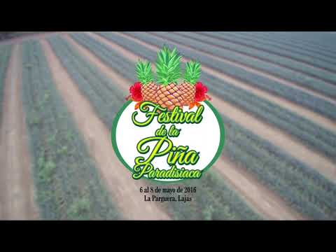 Festival de la Piña