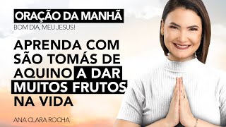 APRENDA COM SÃO TOMÁS DE AQUINO A DAR MUITOS FRUTOS NA VIDA - ORAÇÃO DA MANHÃ