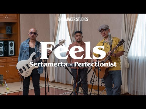 Sertamerta - Perfectionist Live Session at Feels #14 | Shoemaker Studios