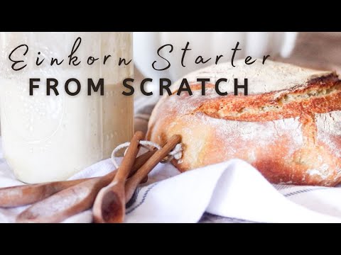 HOW TO MAKE EINKORN SOURDOUGH STARTER AT HOME