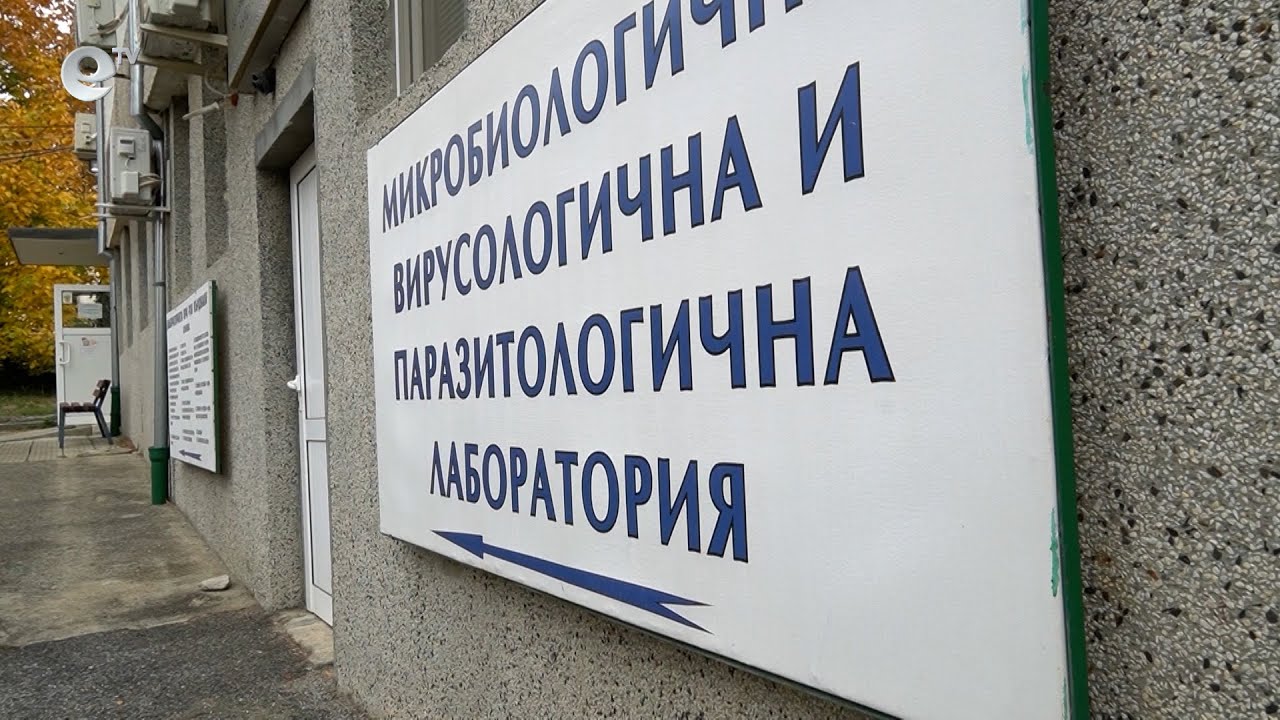 Стафилококи и ешерихия коли са причина за хранителното натравяне на работниците от Кърджали