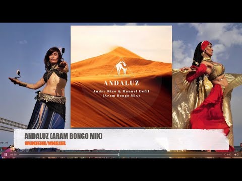 Andaluz (Aram Bongo Mix) - Andre Rizo / Manuel Defil [#10]