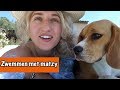 Matzy leert zwemmen | DierenpraatTV