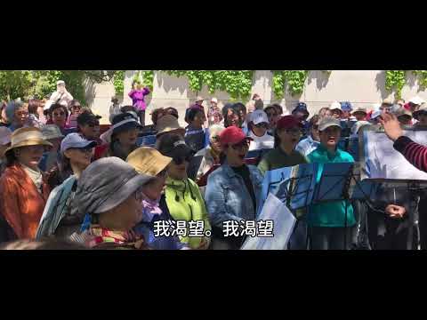 一起聆听不一样的鼓浪屿之波 #上热门 这里是北京的陶然亭公园，你看他们的退休生活是这样的。#经典老歌 #户外唱歌 #合唱 #鼓浪屿之波