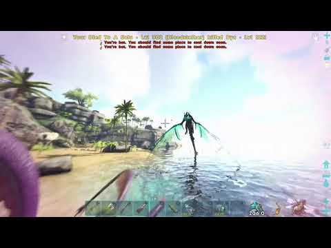 Killing guy on voidwyrm at blue xbox official pvp