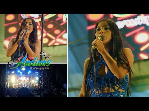 Son Andinos - Mix Vizcacha EN VIVO - LA PEÑITA