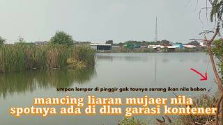Download lagu LEMPAR PINGGIR GAK TAUNYA SARANG NILA BABON !! MANCING LIAR MUJAER NILA SPOT DALAM GARASI KONTENER mp3