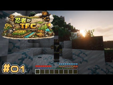 [Minecraft] Ninja TFC # 01 [TerraFirmaCraft]