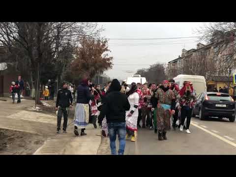 Trupa din tomesti 2018-2019