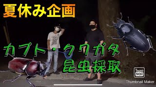 【夏休み企画】昆虫採取でクワガタ・カブトムシを捕まえに行ったらマジすごかった