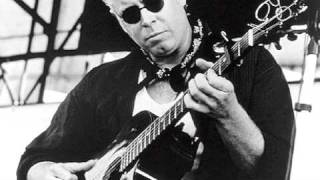 Bruce Cockburn - If I had a rocket launcher (2 meter sessies)