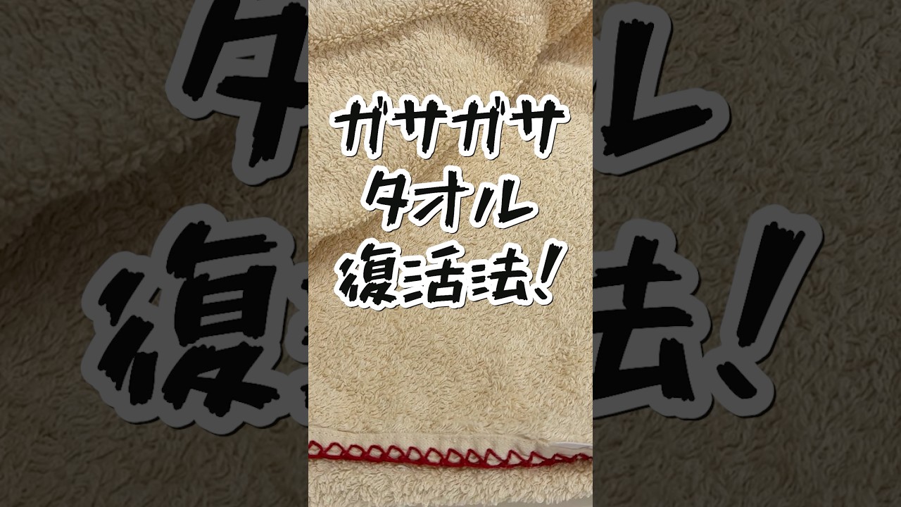 ガサガサタオルの復活法とは👀‼️#shorts #洗濯 #タオル #復活 #ライフハック