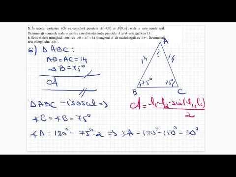 Bacalaureat 2021 - Tehnologic - Testul 5 - Teste antrenament - Clasa a 12-a
