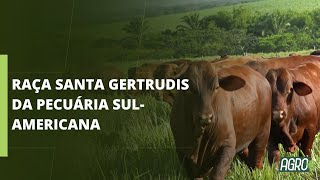 Miniatura do vídeo