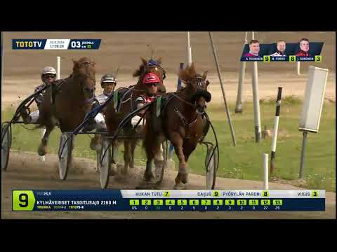 Kylmäverihevosten Suur-Hollola Ajo 2019 - Pyörylän Paroni