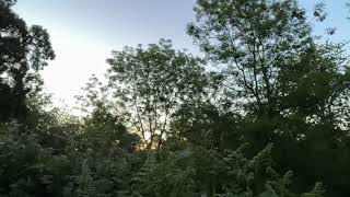 May Sunrise and Birdsong