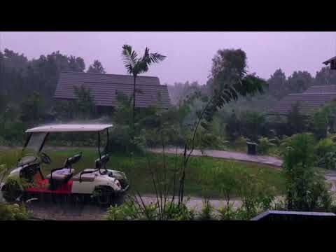 listen to the rhythm of the falling rain