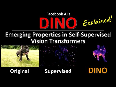 DINO: Emerging Properties in Self-Supervised Vision Transformers (Facebook AI Research Explained)