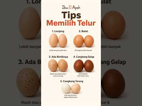 Tips Memilih Telur Berdasarkan Bentuk dan Warna Cangkangnya #ibudanayah