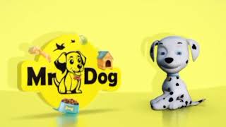 Beagle female puppy available | best price @mr.dog pet shop Coimbatore #puppy #doglover