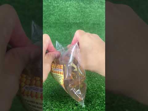 Vídeo Apicultura Borges