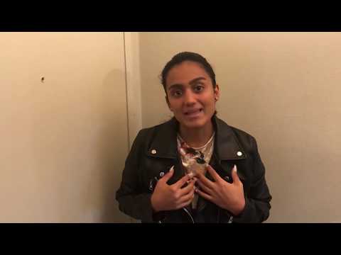 Self- Introduction Speech.(Communication 101)