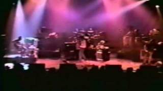 Widespread Panic ~ Aunt Avis [06/21/97]