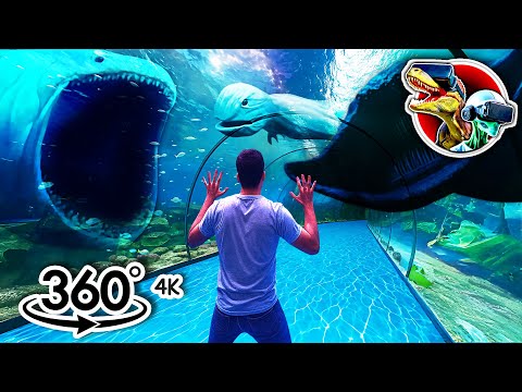 360 Whale, Ningen, Leviathan, Bloop and El Gran Maja Sea Monster from Aquarium | 360 video 4K