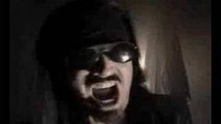 Garden Of Delight - Illuminate