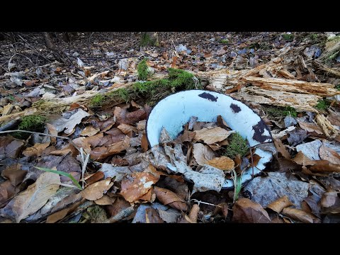 MOATORPET @ Moabackens naturreservat - 210303 - KALLINGE - Ronneby - iPhone SE (Hammock EDIT)