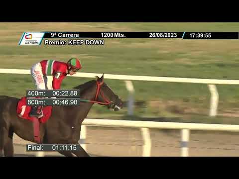 230826 c09 - DOG ALICANTE - HIPODROMO LAS PIEDRAS