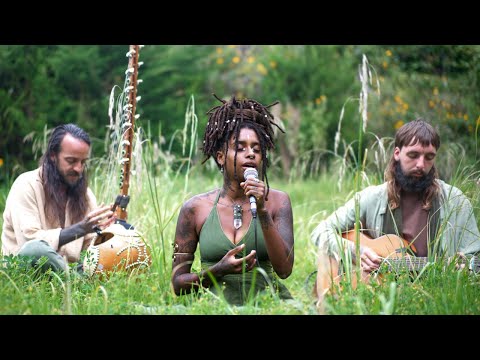 Echoes of the Sacred Valley - Open Your Heart - Bird Sounds and Healing Frequency Music