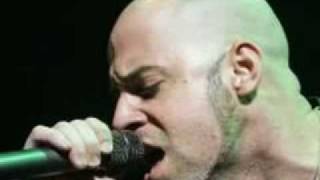 Renegade- Daughtry (Lyrics)