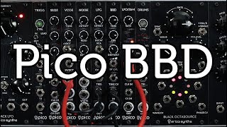 Video thumbnail for Erica Synths Pico BBD sound demo by Erica Synths