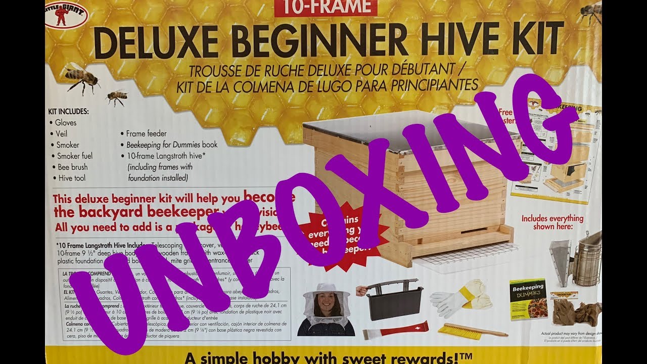 UNBOXING Deluxe Beginner Hive Kit from Little Giant